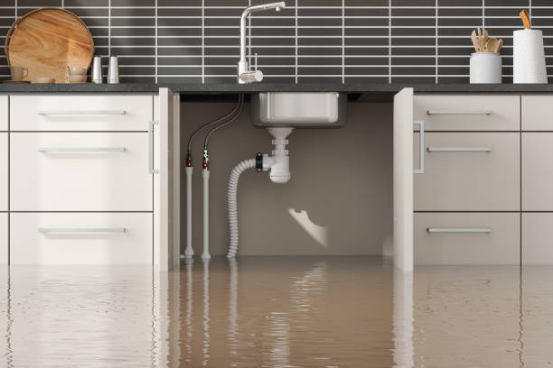 Best 24/7 water damage repair  in USA